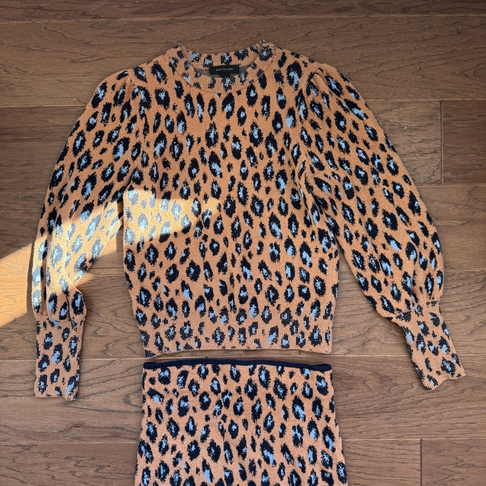 Ann Taylor Leopard Jacquard Sweater Set